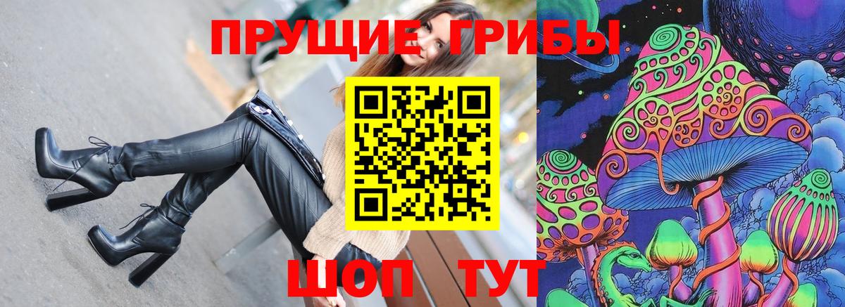 Янаул  Галлюциногенные грибы Cubensis  Вход с VPN 